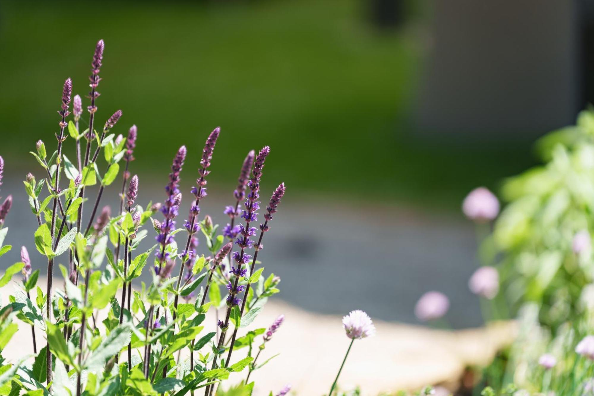 Les Jardins D'Anais Hotel Luxembourg Exterior photo